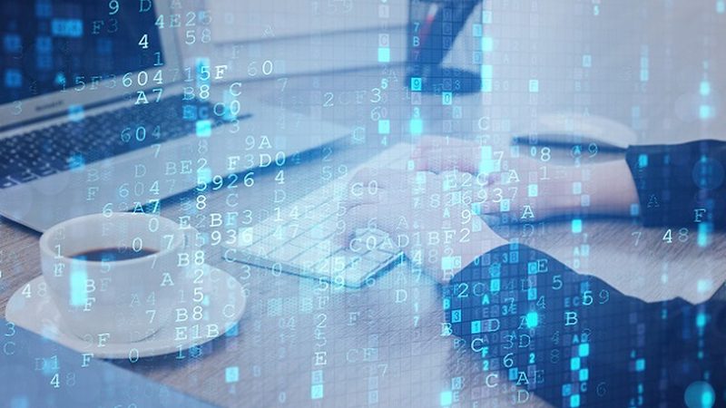 整站优化与SEO：本质区别与实际应用